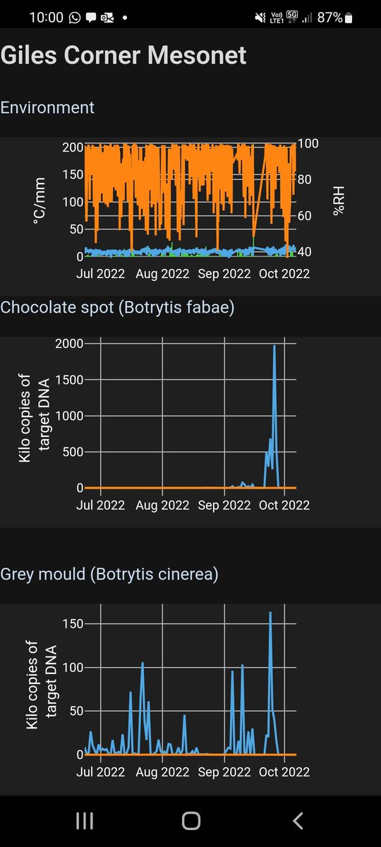 Rohan Kimber tweet media