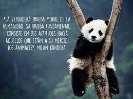 QuotesThatInsp's tweet photo. Solo compartiendo de manera justa e imparcial el planeta con ellos podremos sobrevivir @NunezFeijoo @cucagamarra @vox_es @VOX_Congreso #PPVOXvotanMaltratoAnimal
y @AITOR_ESTEBAN @andoniortuzar @eajpnv también. https://t.co/Xgr4j7aBhr