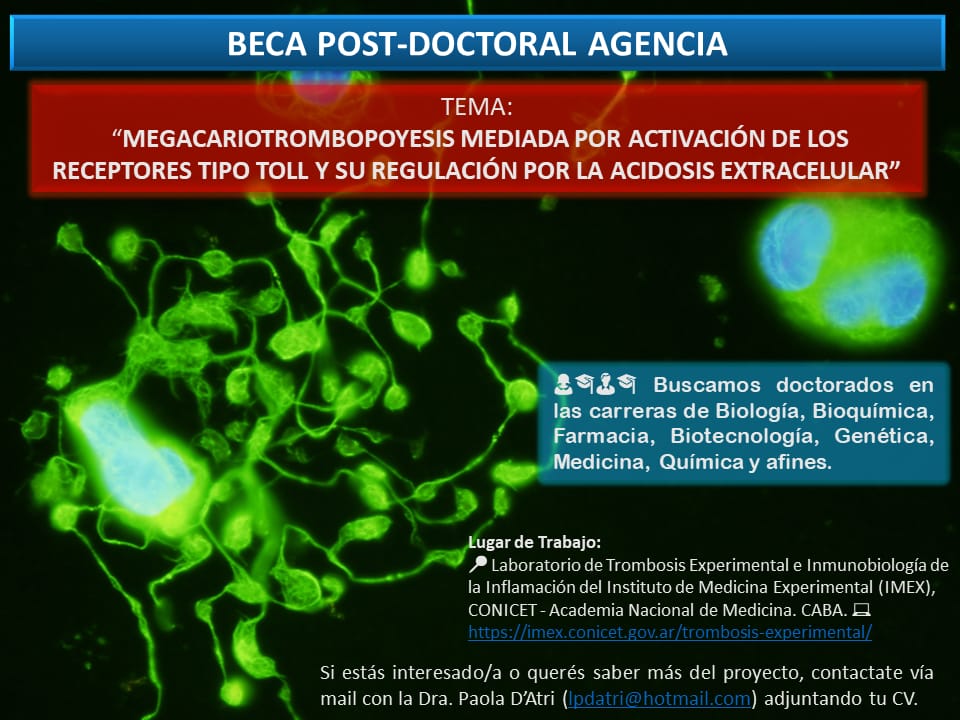 AandAImmunoLab's tweet photo. 📣 Búsqueda de Becario post-doctoral  🧫🔬
@imex_conicetanm @CarreraPhd https://t.co/Sm1TsDH6wM