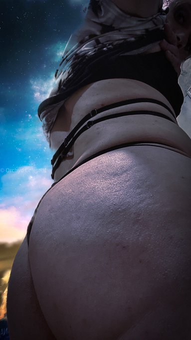 Orchyd Celestial’s pics and videos