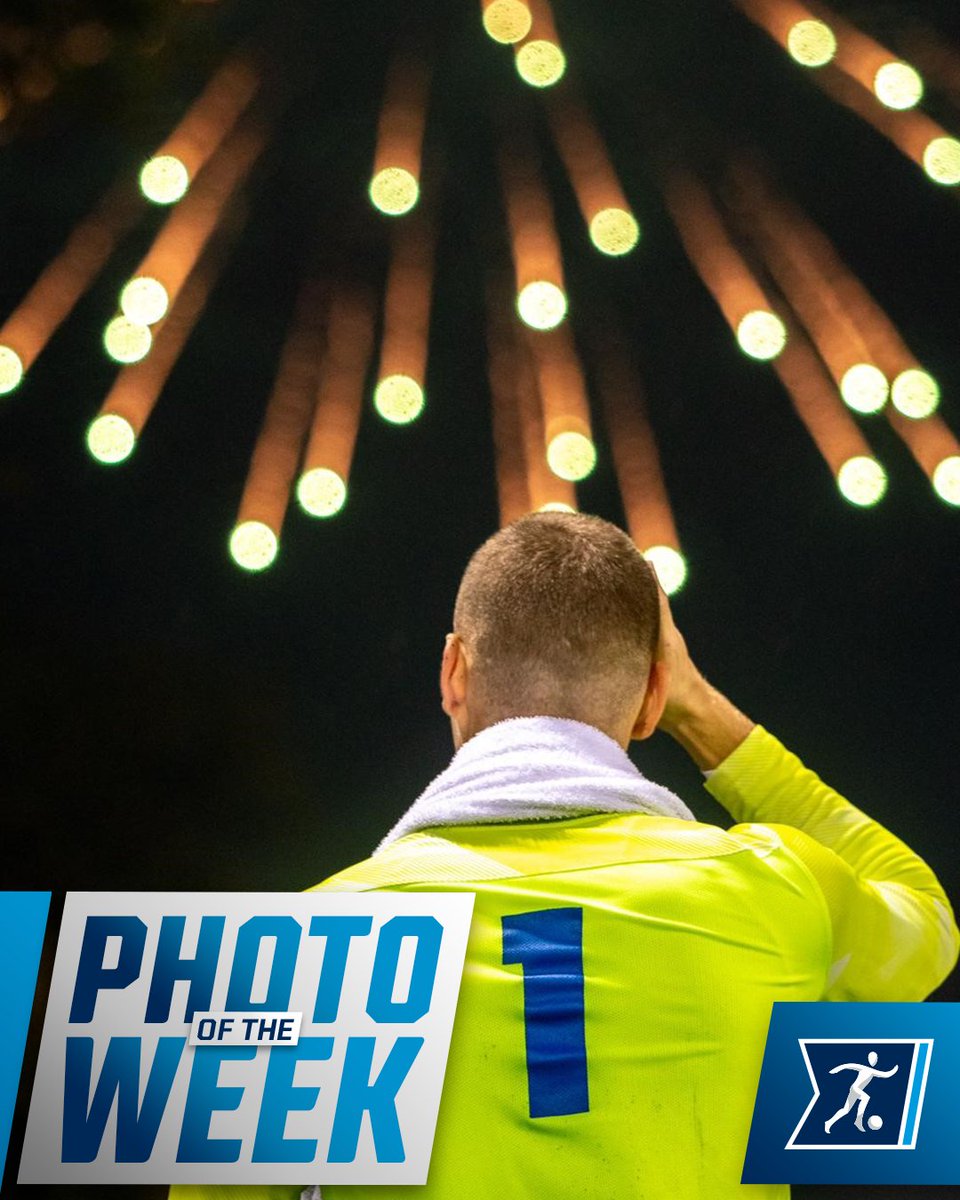 NCAA Soccer (@ncaasoccer) on Twitter photo ๐ธ #NCAASoccer Men's Photo of the Week
Keeper Wessel Speel watches the postgame fireworks following <a href="/HofstraMSOC/">Hofstra Men's Soccer</a>'s 3-1 victory over Delaware! ๐๐ ๐ธ #NCAASoccer Men's Photo of the Week
Keeper Wessel Speel watches the postgame fireworks following <a href="/HofstraMSOC/">Hofstra Men's Soccer</a>'s 3-1 victory over Delaware! ๐๐