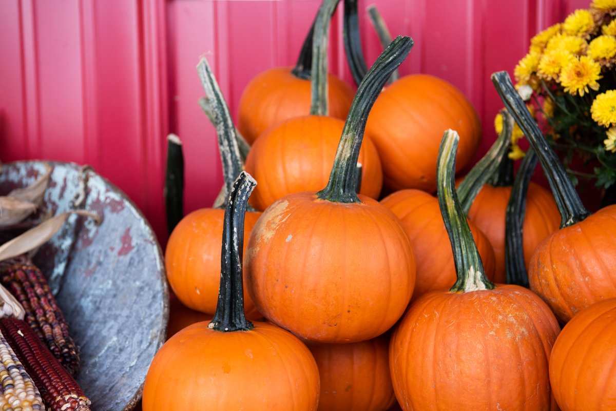 The Chef's Garden tweet media