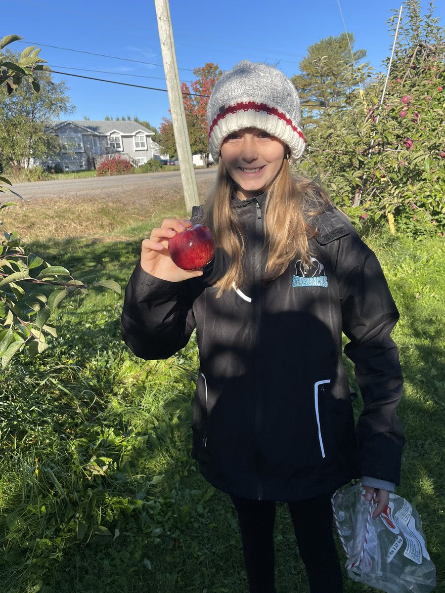 6D and 6E went apple picking at Charlotte’s Family Orchard in beautiful Gagetown, NB. The air was crisp and so were the apples 🍎 #Fallfun #getoutside
