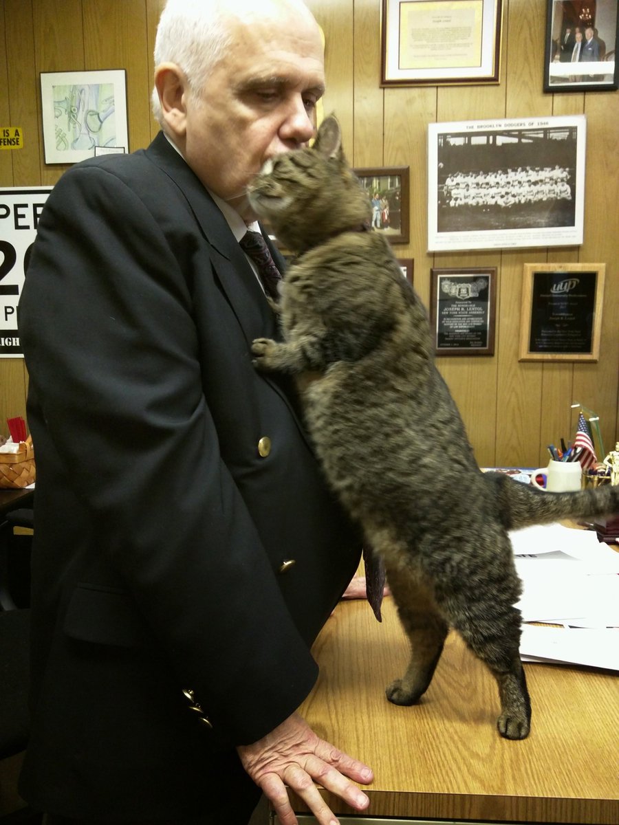 assemblymanjoe's tweet image. It&apos;s with great sadness that we announce Brooke peacefully passed away last night. 

Brooke lived a long and happy life welcoming constituents as Treat Coordinator, and we hope she is getting all the pets and treats she deserves in kitty heaven.