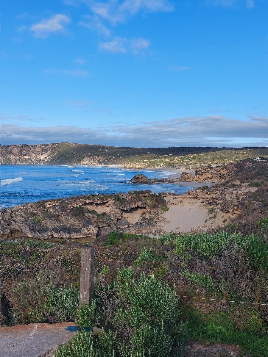 Sams_Popcorn's tweet photo. One of my favourite places on Kangaroo Island has to be #penningtonbay at any time of the year.  It's not far off the main road and well worth the visit.
#samspopcorn #smallbusiness #southaustralia #buylocal #businessowner #bookthemout #kangarooisland #kidsbusiness #kidpreneur https://t.co/yoHYPPv17F