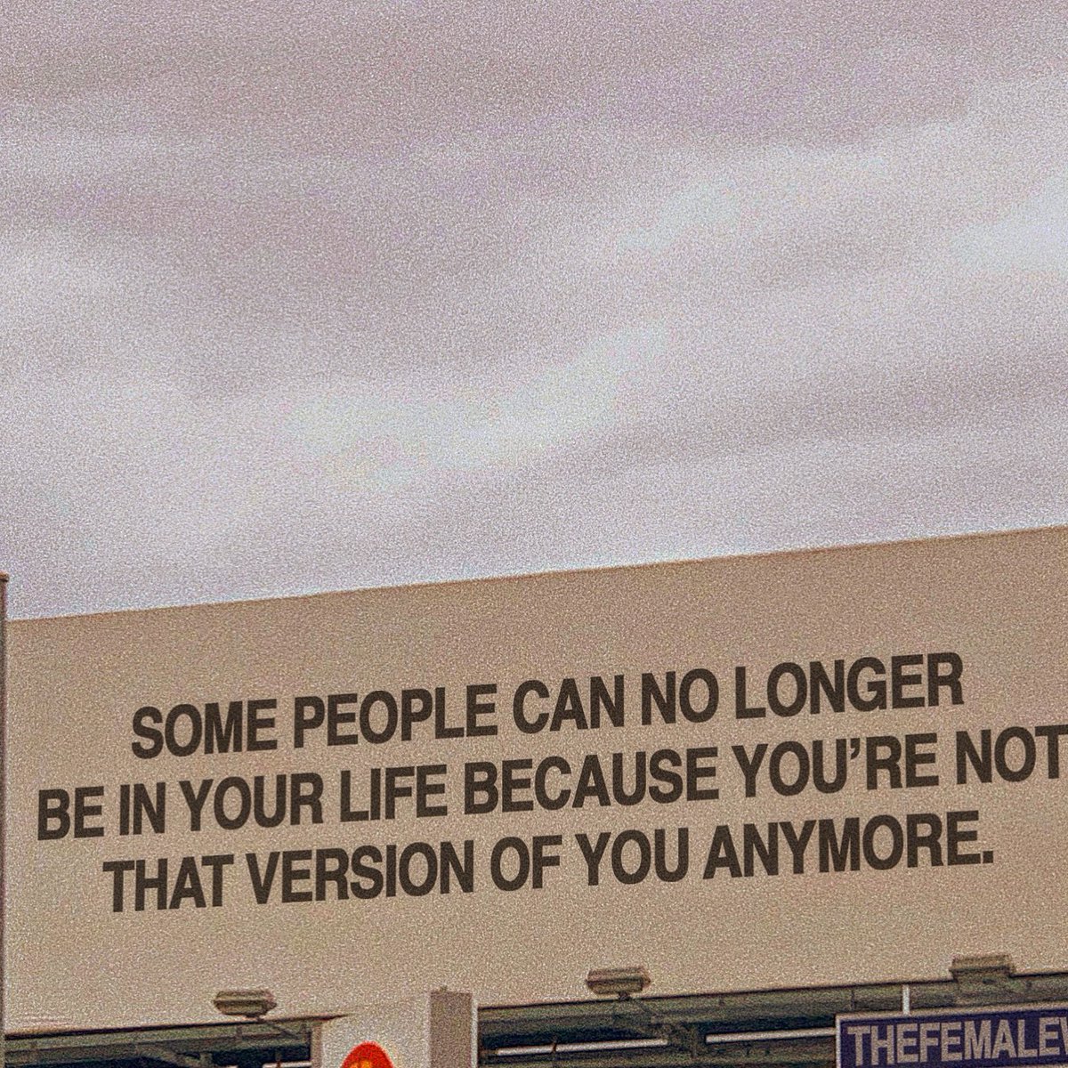 THE FEMALE (@thefemalewarhol) on Twitter photo 