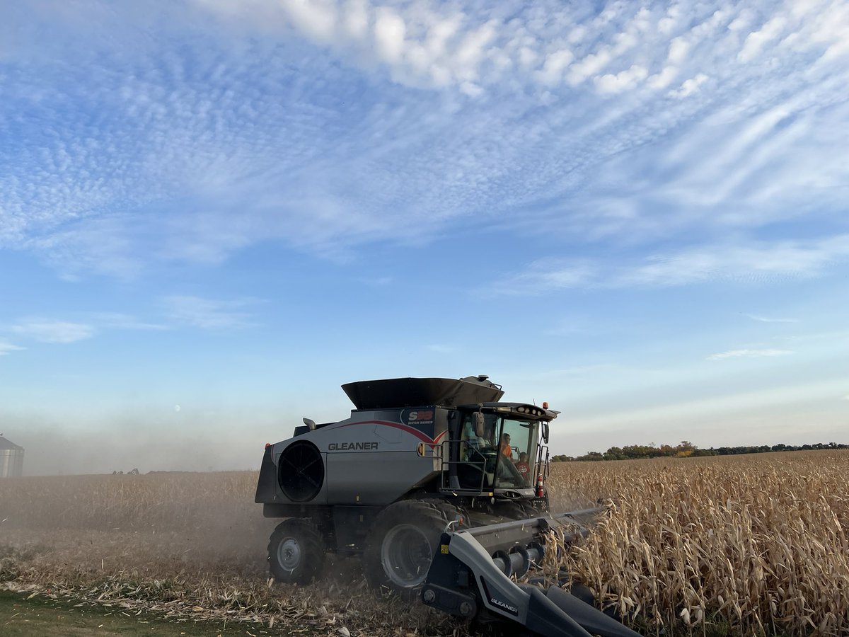 KidsMeyer's tweet photo. First pass of #harvest22 ✅ with #meyerfamilyfarms and #gleanercombine. https://t.co/tFflR1s1tK