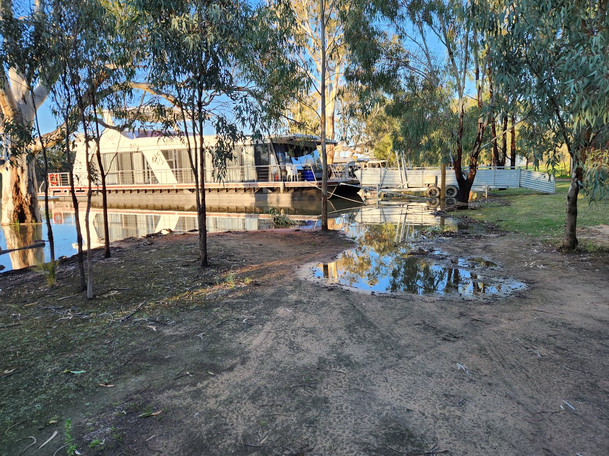 Bernie Lehmann tweet media