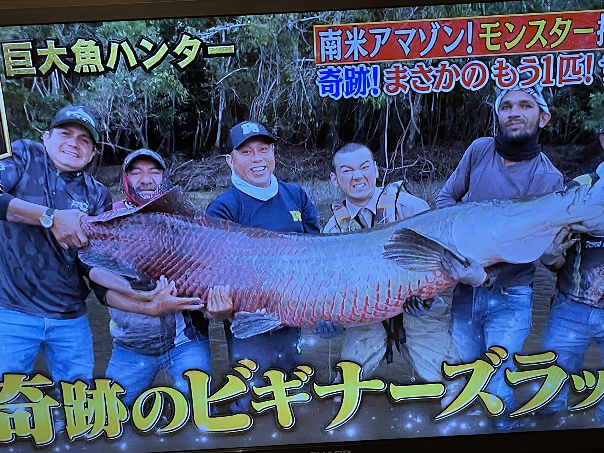 中村 健太郎 Kenpesss Twitter