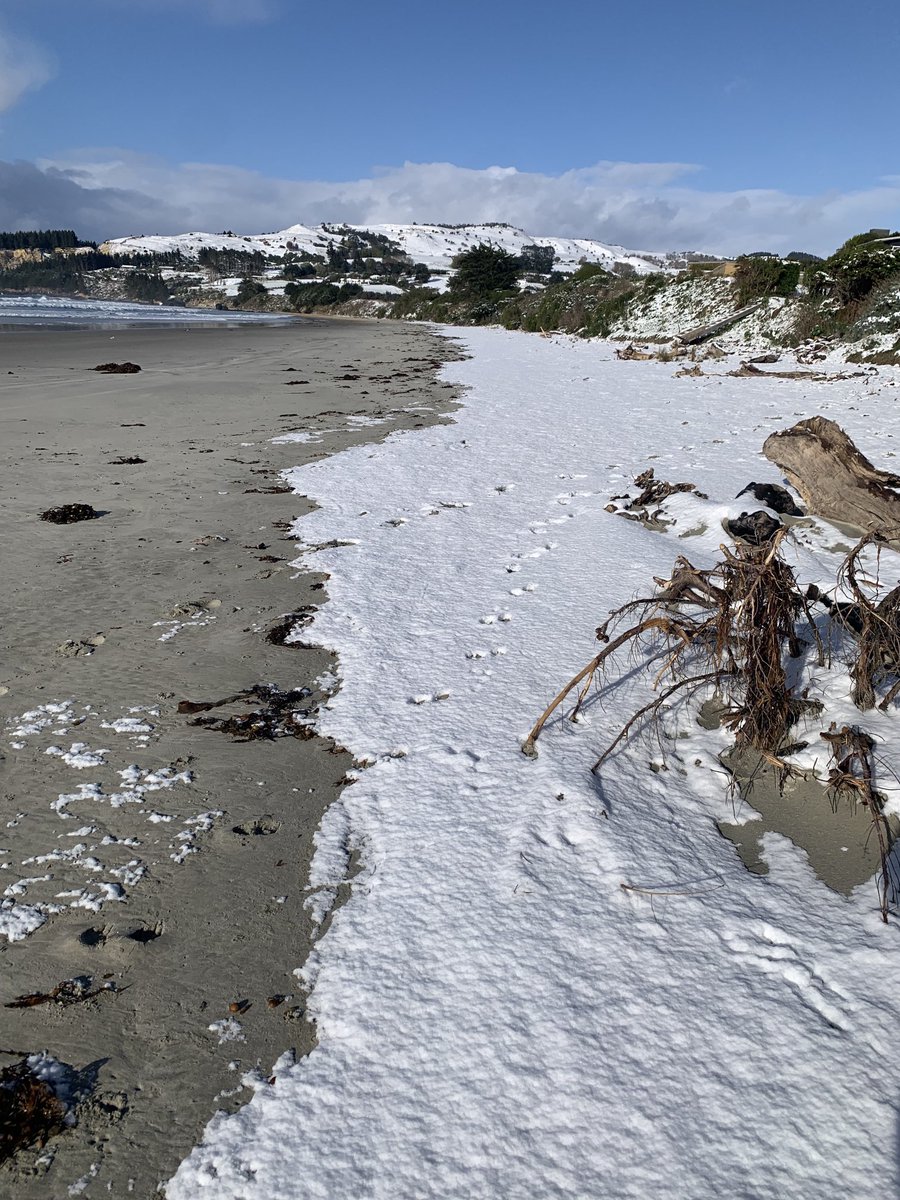 That is snow to sea level - high tide mark today