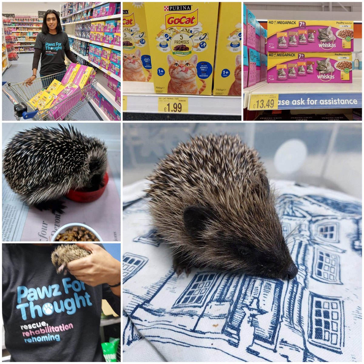 Today with our friend Vijay we supported @Pawzforthought as part of our #Hogtober campaign.  Please donate if you can below 👇 lnkd.in/epfYr_VH
#helpthehedgehogs #supportlocal #wildlifewednesday #hedgehogs #supportlocalnature #climateactionnorth #charitysupport