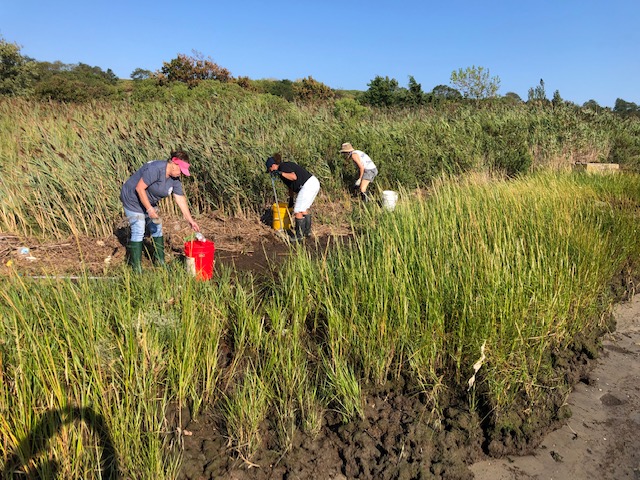 OperationSPLASH's tweet image. 4 bags, 3 women, 2 hours, 1 clean beach - the Monday afternoon Freeport crew can't be beat!