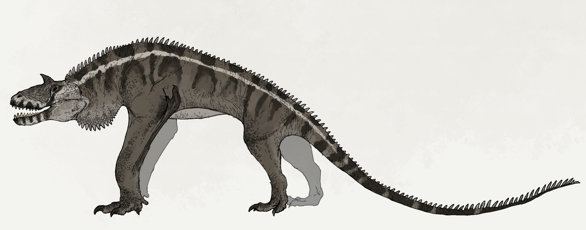 Logan on Twitter "Loping Drake (1/2) Large and agile predators native