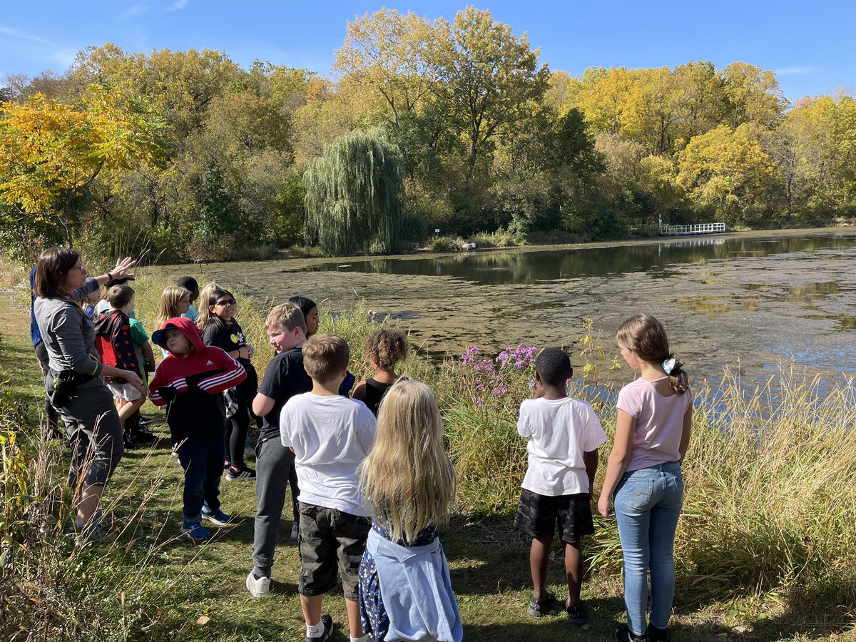 KellyStroeing's tweet photo. Hands on exploring at #QuarryHill learning about food webs, pond life, and testing water quality. #GIP2023 @RPS535 @WSURochester https://t.co/j3NbdszsVU