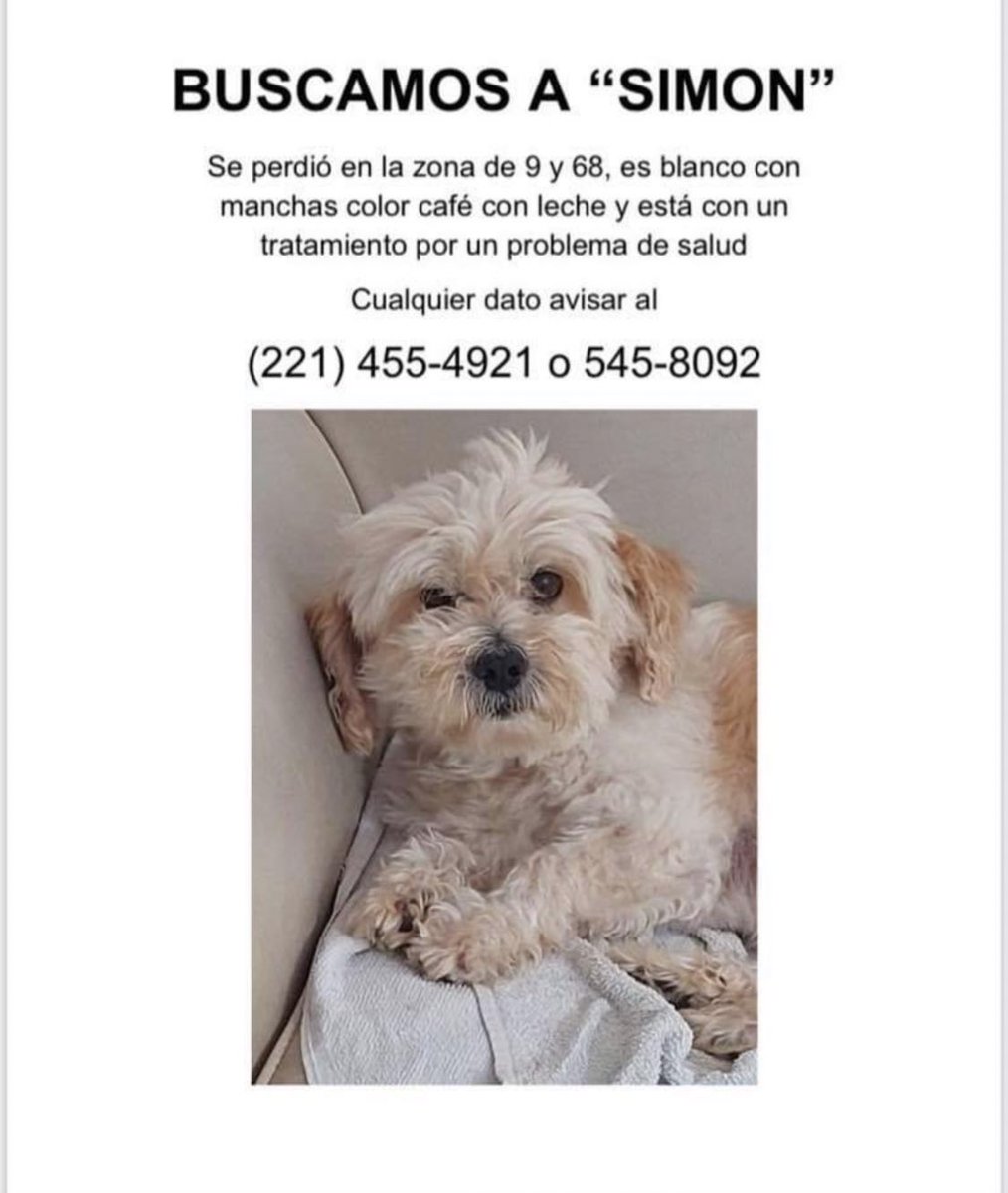 🥺 es mi perro y desde el viernes 30/09 no aparece; por favor, ayúdenme a difundir