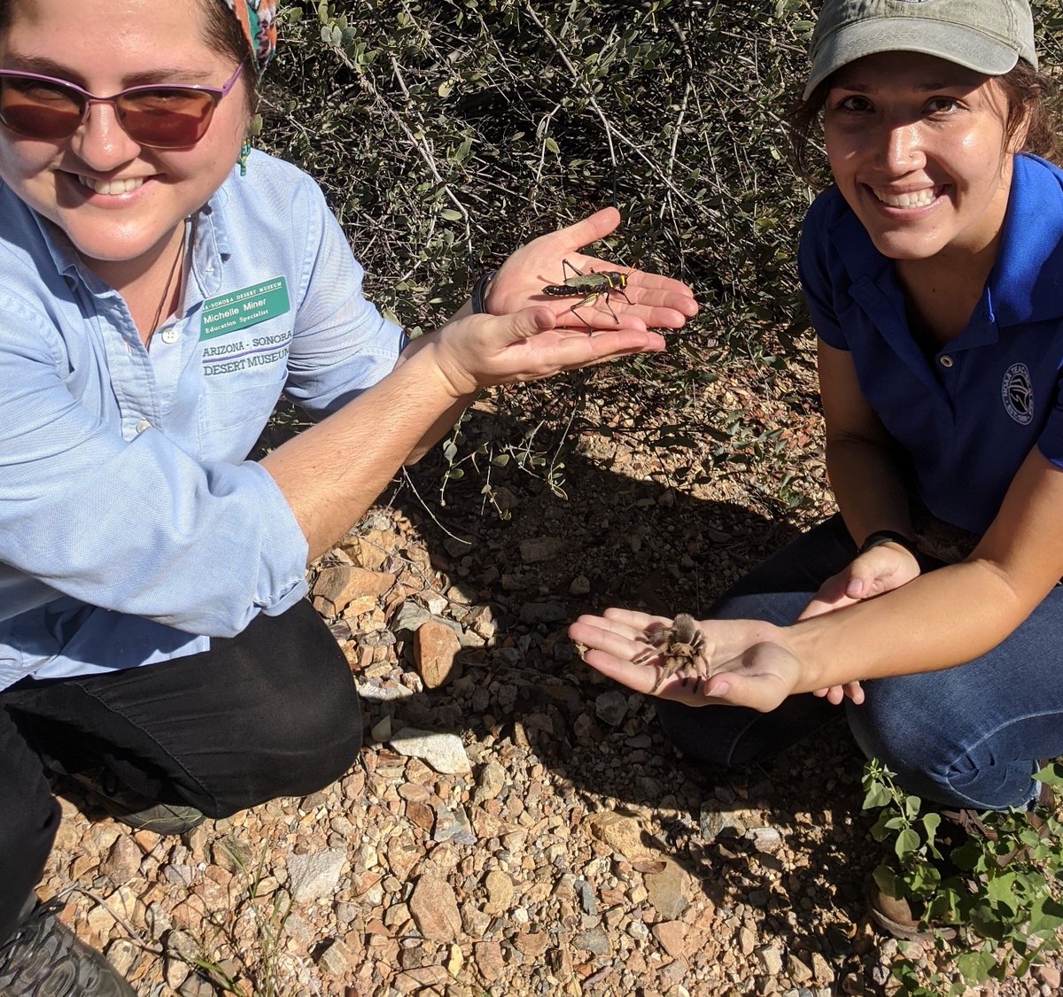 desertmuseum tweet picture