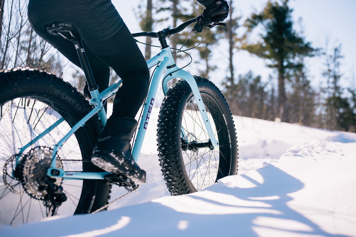 Meet Arctodus. This is a fat bike with a steel frame, lots of room and mounts for cargo, and clearance for the biggest fat tires available. It's designed for exploration. See Arctodus here: bit.ly/3TgQFTJ
