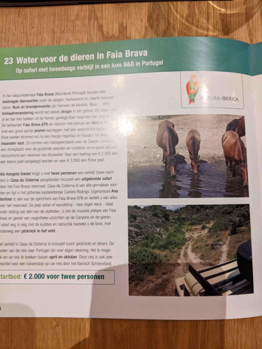 Het 2e veilingitem van <a href="/NaturaIberica/">Stichting Natura Iberica</a> , een volledig verzorgd arrangement in Faia Brava, is tegen een mooie prijs weggegaan..De opbrengst gaat naar aanleg van poelen, als drinkwater voor de grazers en foergaeerplaats voor de zwarte ooievaar. Mooi!