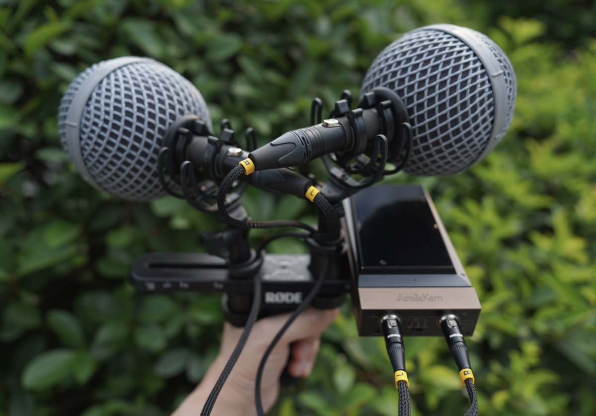 #fieldrecording MKH8040 with Astell&amp;Kern AK300