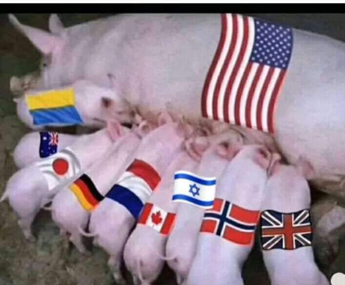 LTRwanted's tweet photo. @MSNBC @maddow The emaciated US jennet has only one udder, not two. Ppl should look out for number one. Help rank-and-file citizens in this time of tribulation before you send any means to Ukraine where they'll be taken away through lowdown tricks by corrupt bigwigs in their pockets! #ianrelief https://t.co/vkHF18iKlC