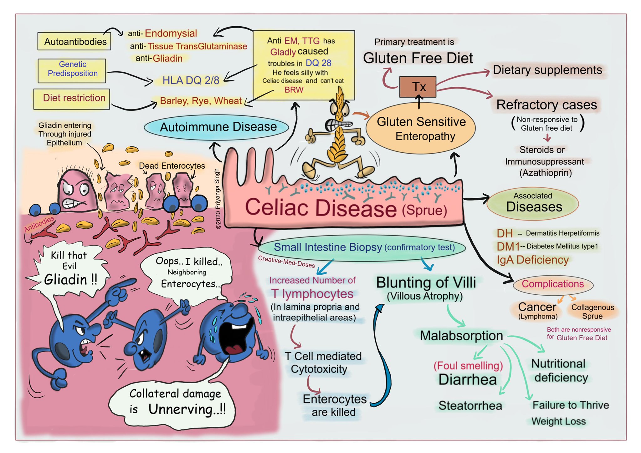 Sintomas de un celiaco si come gluten