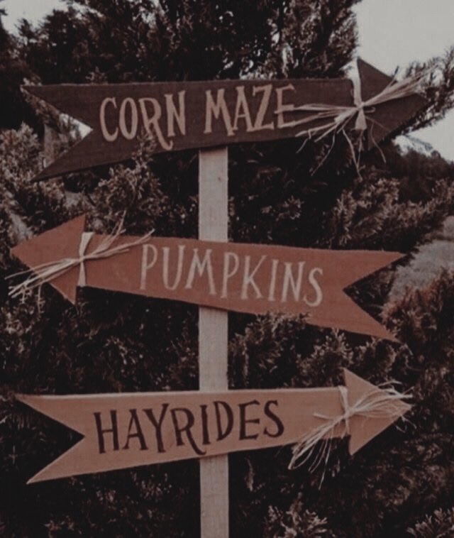 blondpolwo's tweet photo. ㅤ 

ㅤㅤ              ㅤ𝐖𝐈𝐓𝐂𝐇 𝐅𝐀𝐈𝐑

⸻ ⸻ ⸻ ⸻ ⸻ ⸻

➤ 24 al 31 de Octubre. 

➤ Feria de Halloween. 
         Abierto a 
         todos los públicos https://t.co/2SpbWuuE9P