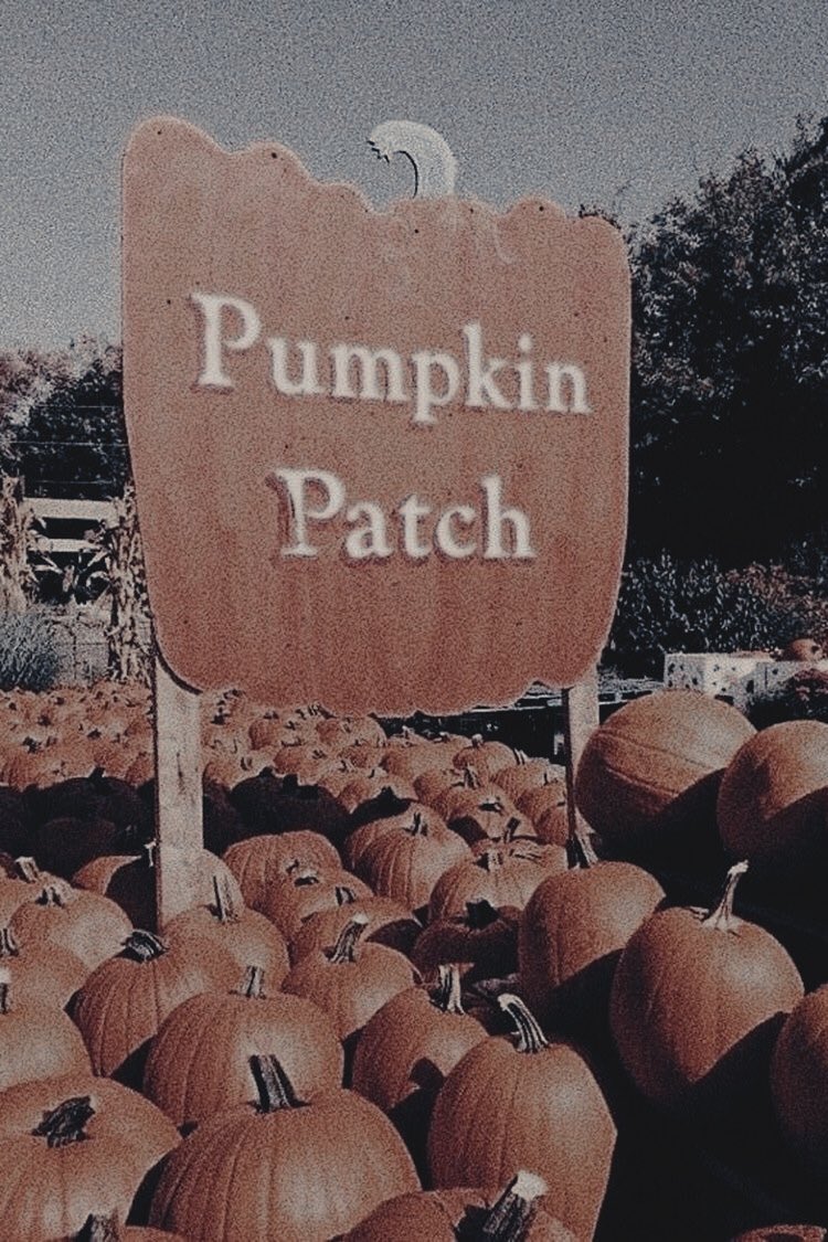 blondpolwo's tweet photo. ㅤ 

ㅤㅤ              ㅤ𝐖𝐈𝐓𝐂𝐇 𝐅𝐀𝐈𝐑

⸻ ⸻ ⸻ ⸻ ⸻ ⸻

➤ 24 al 31 de Octubre. 

➤ Feria de Halloween. 
         Abierto a 
         todos los públicos https://t.co/2SpbWuuE9P