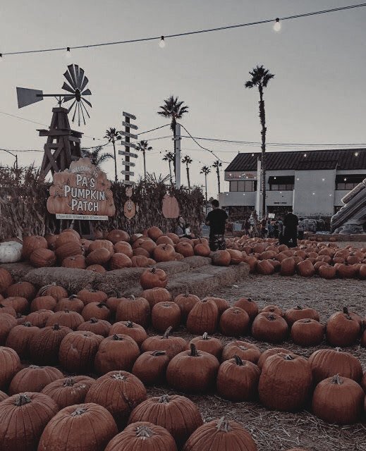 ㅤ 

ㅤㅤ              ㅤ𝐖𝐈𝐓𝐂𝐇 𝐅𝐀𝐈𝐑

⸻ ⸻ ⸻ ⸻ ⸻ ⸻

➤ 24 al 31 de Octubre. 

➤ Feria de Halloween. 
         Abierto a 
         todos los públicos