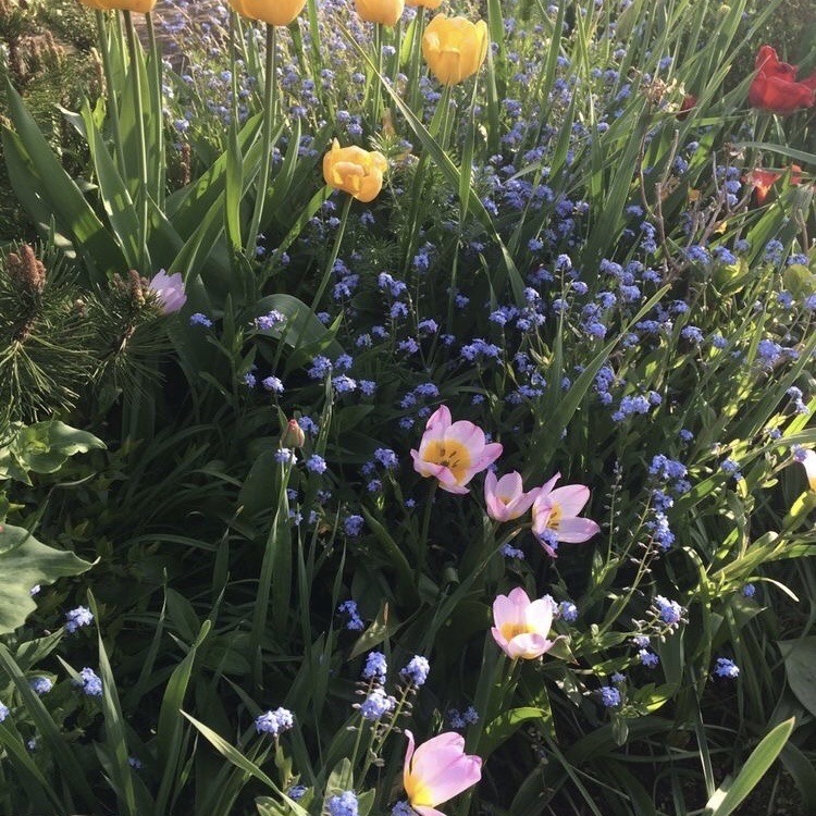 🌿🌼🧺 (@peacozy) on Twitter photo 