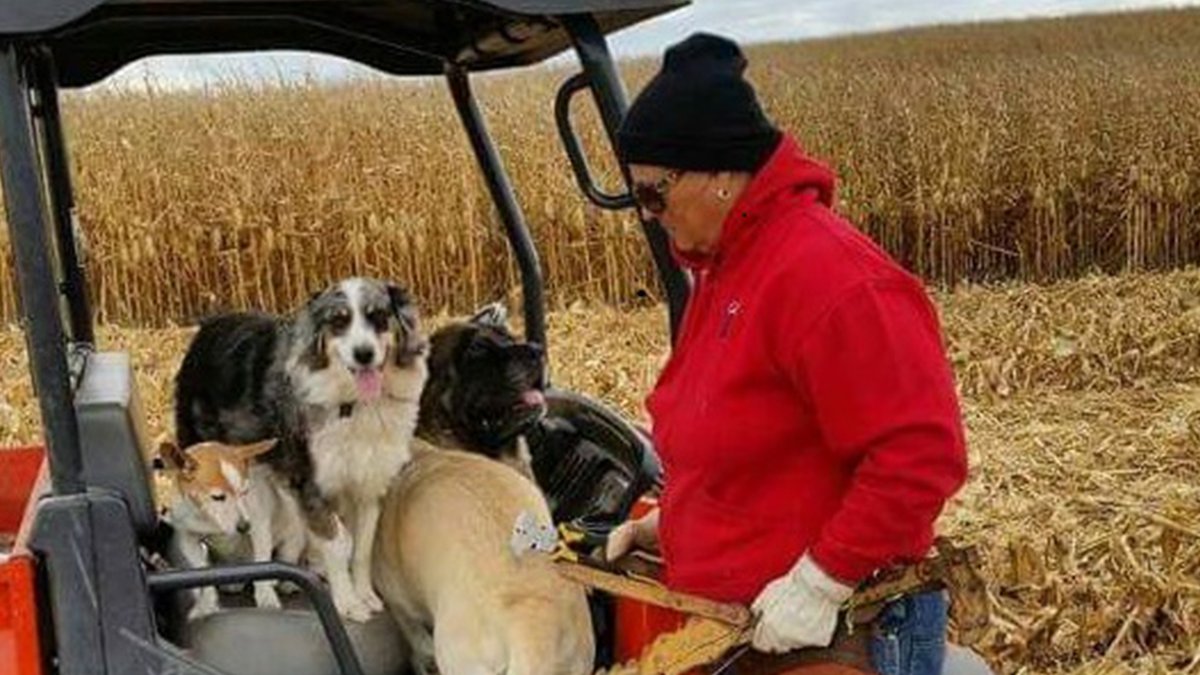 SyngentaUS's tweet photo. #RootedinAg finalist, Cindy Berner-Schlichte, works on her family’s 7th generation farm. "Unfortunately, my dad died at 52. I was determined to save our land", Cindy says. Vote for Cindy here: https://t.co/owHbjSR0pL https://t.co/DNr2SEVwIo