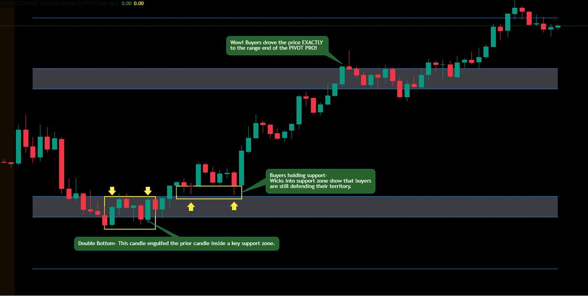 freddythafish's tweet photo. The #PIVOTPRO indicator gave out clues before this incredible run, and allowed plenty of time for traders to spot the move! Visit @scriptstotrade and use code FREDDY10 for 10% off your first month! $SPY $SPX π₯ https://t.co/b7u5VetwC4