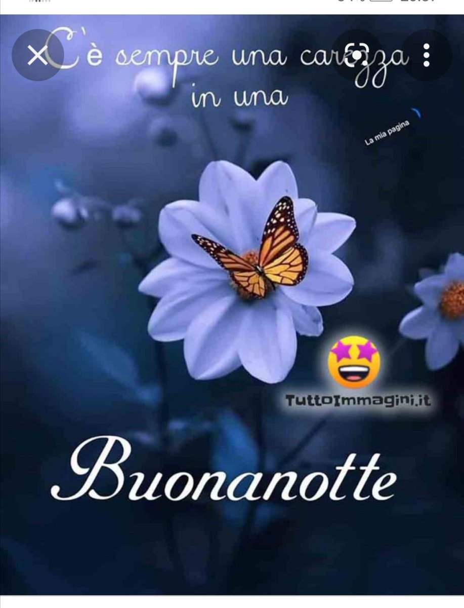 Maria Grieco tweet media