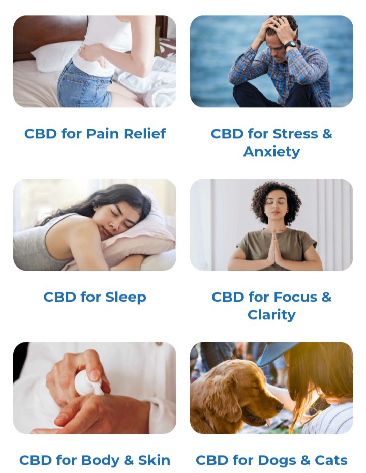 deg26xj's tweet photo. https://t.co/eK4mpn6GTY
HERE IS THE CANADIAN #1 OIL! FIND VARIETY OF PRODUCT CHOCO GUMMIES OIL WITH PROMO Code: PIN20
#CBDオイル
#cbdoil #CBDTwitter #cbdbusiness #Health #healthcare #healthy #healthylifestyle #healthiswealth #HealthyLiving #HealthForAll #healthcareprofessionals https://t.co/hA1ofA3xDZ