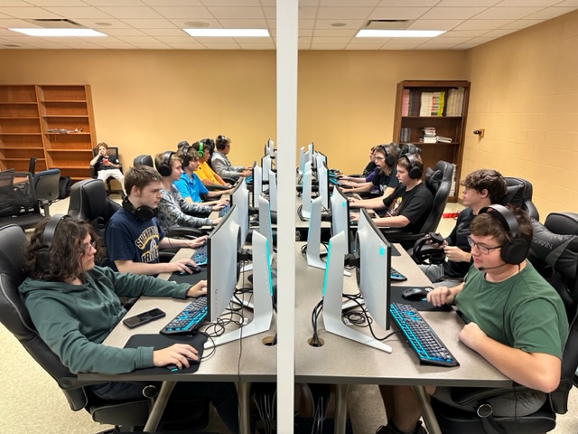 SHSesports tweet media