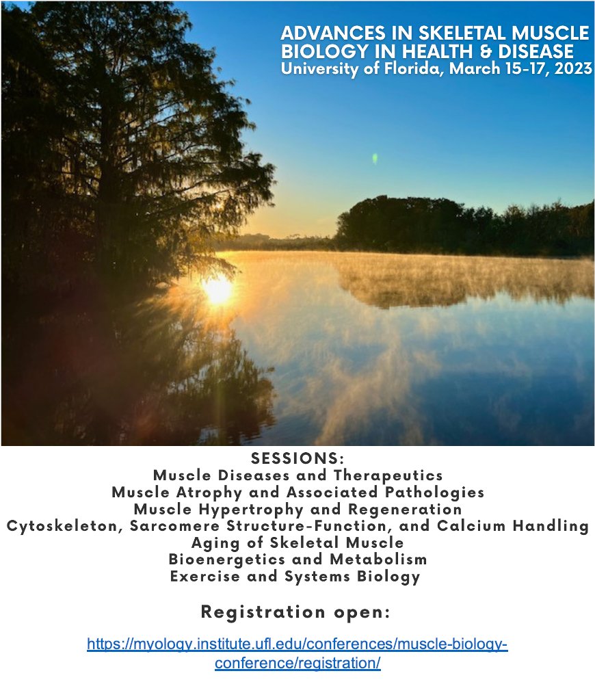 Andrew Judge tweet media