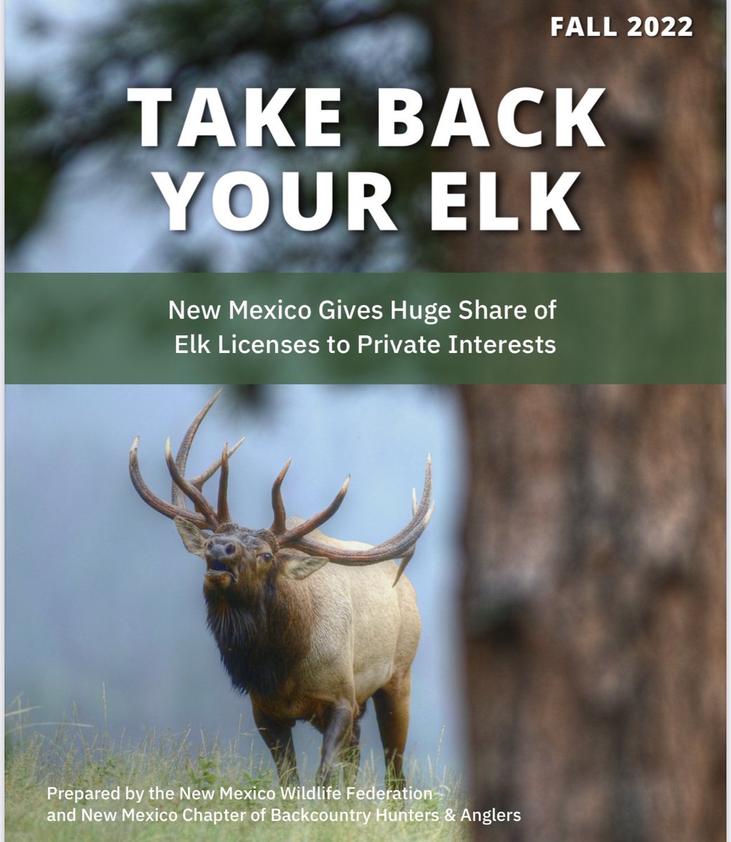 Today, #elk are the most valuable #biggame in #NewMexico, but the allocation of tags is a touchy subject. Be sure to read this report from <a href="/NMWildlife/">NMWildlifeFederation</a> &amp; the #NewMexico Chapter of <a href="/Backcountry_H_A/">Backcountry Hunters & Anglers</a>. Access the report &amp; signup to join the fight HERE 👉🏻 TakeBackYourElk.com