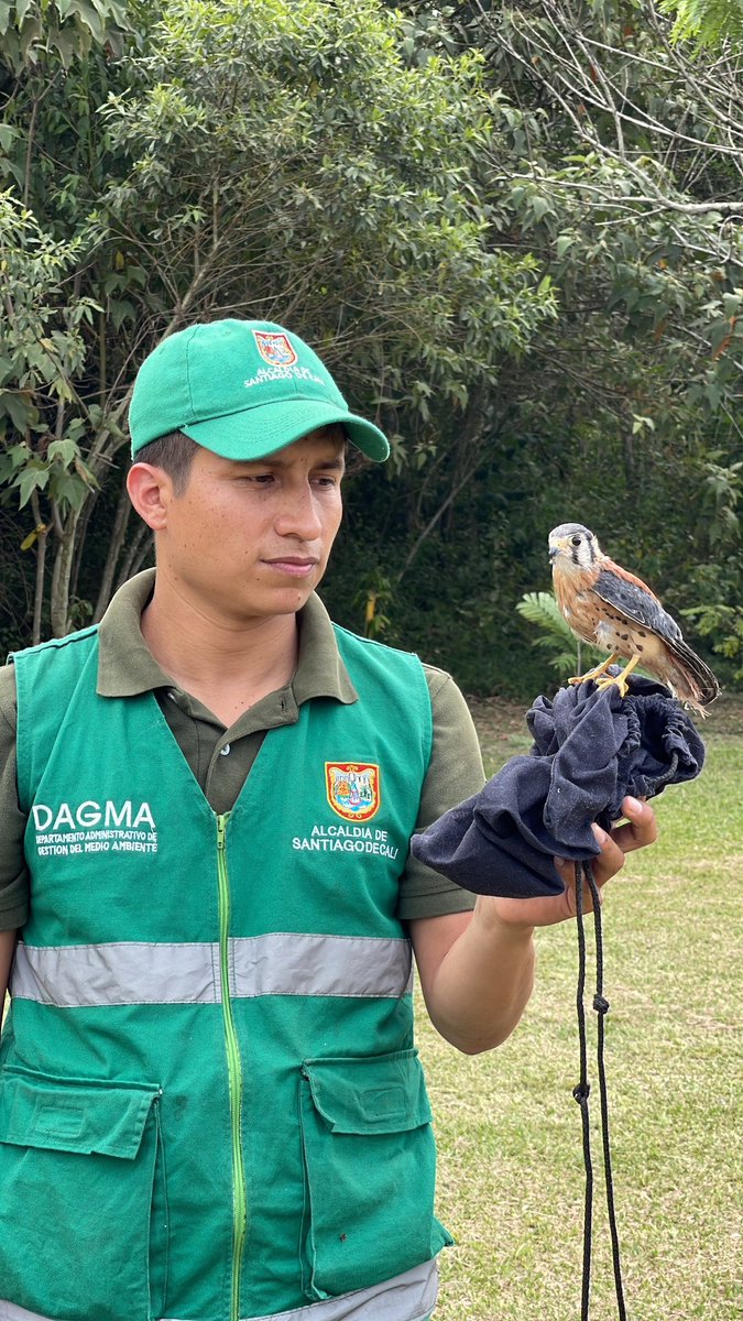 DagmaOficial's tweet photo. ¡Comprometidos con la fauna silvestre! 

🦊 En lo corrido del año 1.953 animales en diferente estado de salud, han ingresado al hogar de paso para la recuperación, atención y cuidado. 🏥

#CaliUnSoloCorazón https://t.co/rTcrFt7P3p