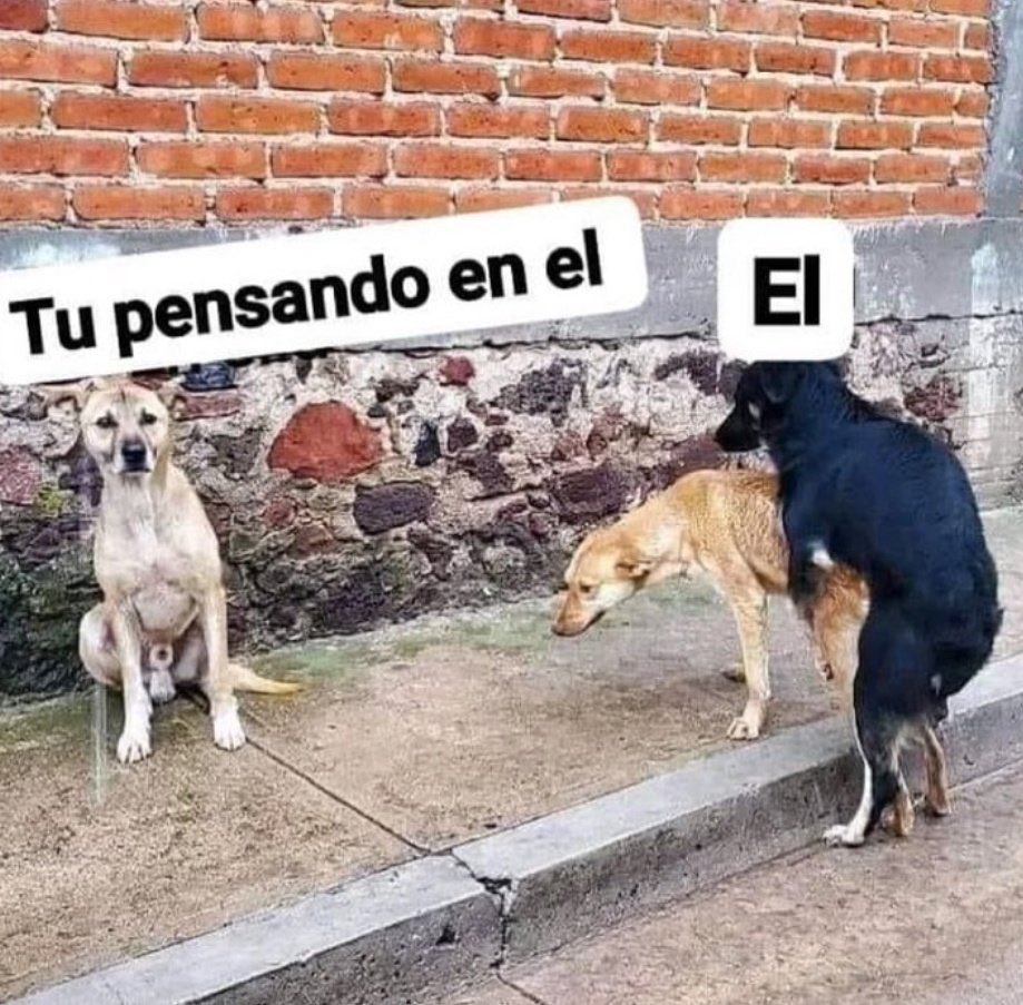 Capture Bizarre® (@capturebizarre) on Twitter photo 