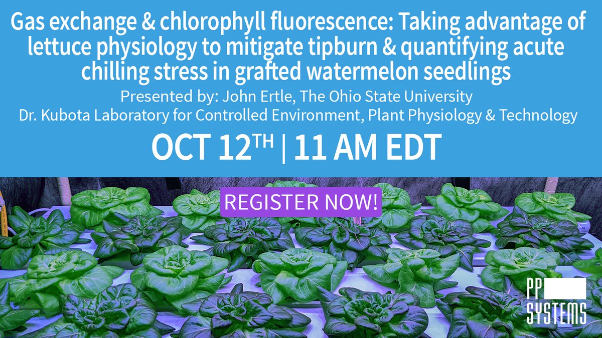 pp_systems's tweet photo. PLS RT! Don't miss this informative webinar on mitigating #tipburn & how acute #ChillingStress affects #ChlorophyllFluorescence Register NOW! #WatermelonSeedlingGrafting #CitrullusLanatus #AbioticStress @John_Ertle @USDA_NIFA @OSU_HortCropSci @ASHS_Hort https://t.co/sCwHiQotgq https://t.co/uvBIcDo8iB