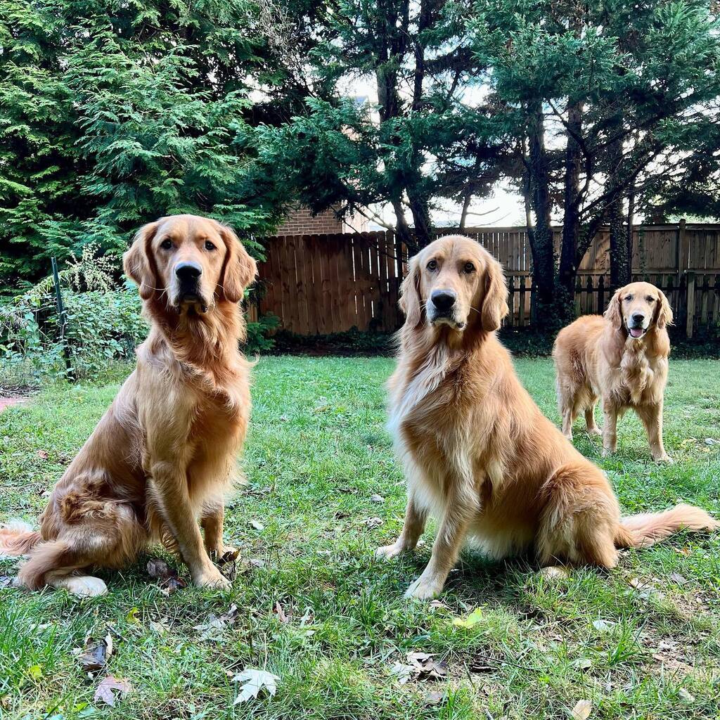 TheGoldenRatio4's tweet photo. NCF is home from camp! 🏕 https://t.co/iCA2ktMw1P