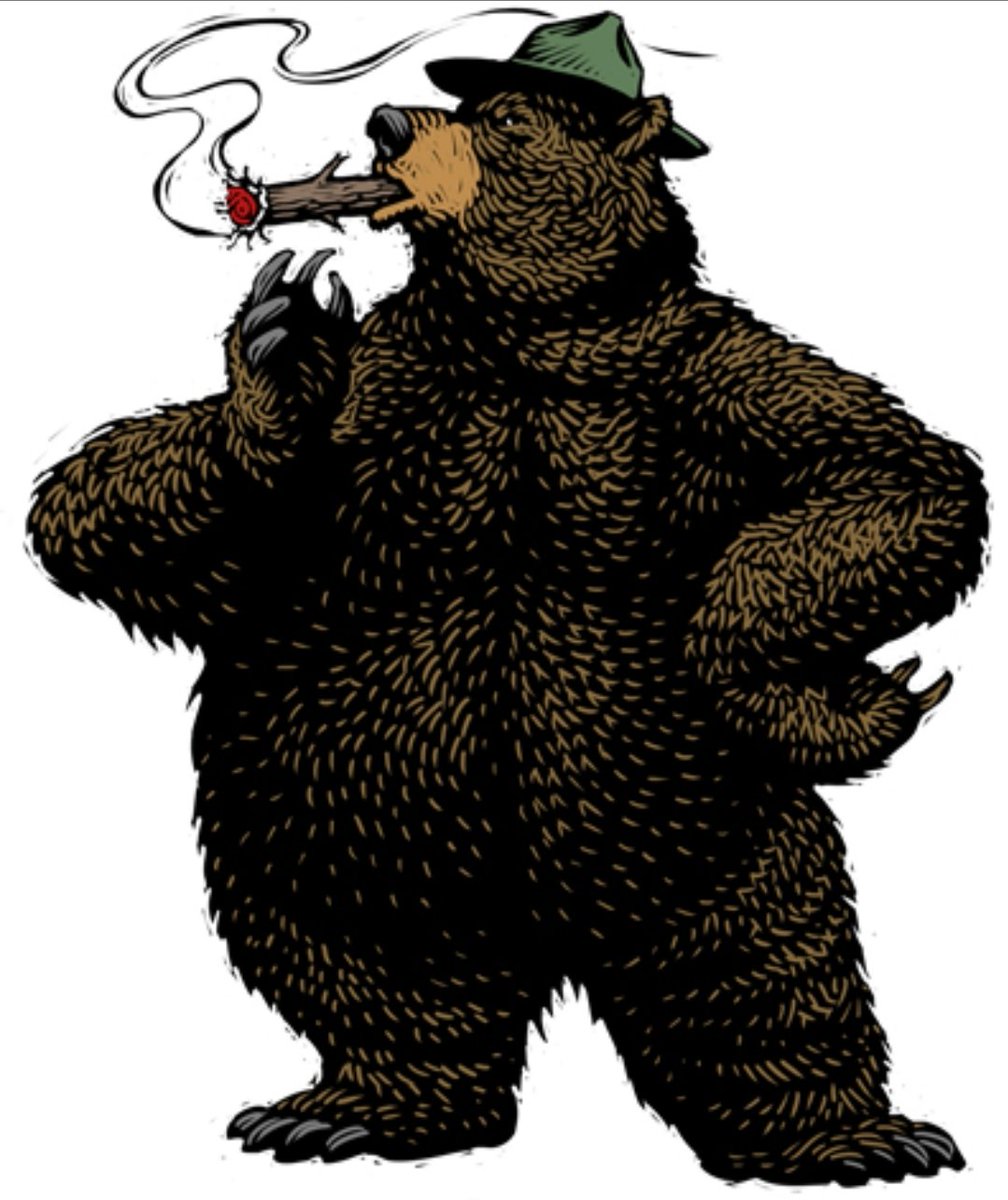mriabear2020 tweet picture