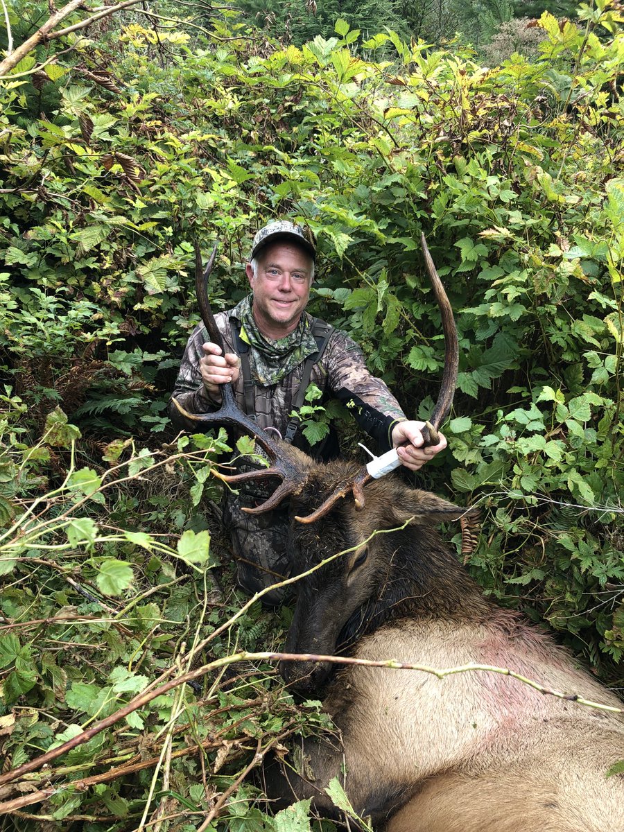 1wapiti's tweet photo. First Roosevelt with a muzzleloader. https://t.co/PmWzMp9nvw