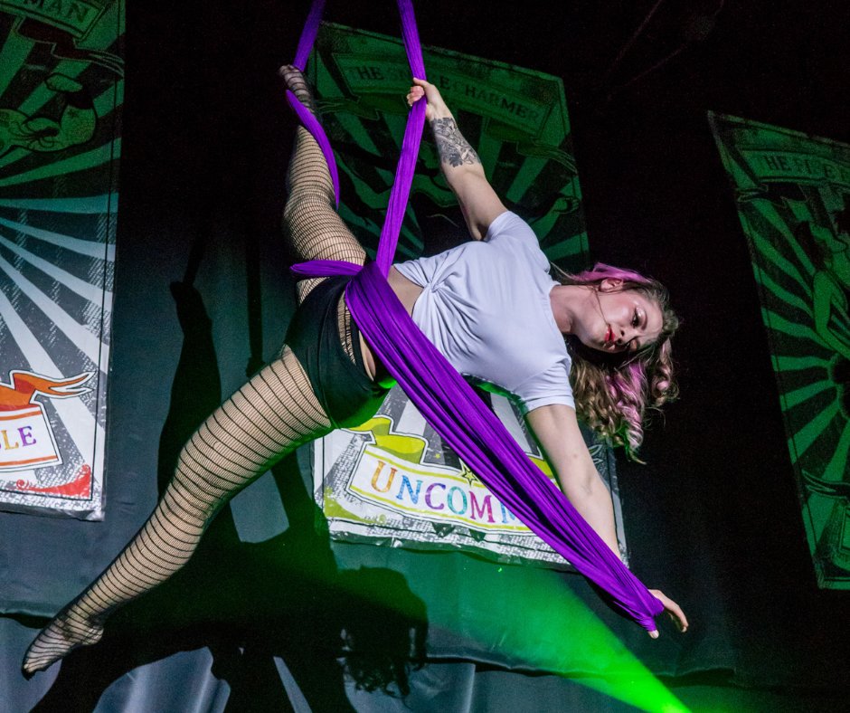 Flipping our chamber upside down - literally! 

Welcome Cirque Wonderland to the FuseDSM Chamber of Commerce!