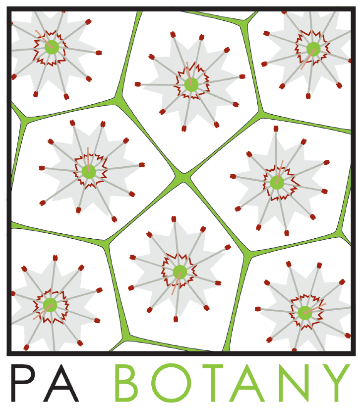 PABotany's tweet photo. We're so excited for @T_Marie_Wms to join us for our PA Botany Webinar Series! Join us on November 2nd at 6 pm for Dr. Williams' webinar on Conserving Biodiversity. More information and registration at the link. Please share! https://t.co/STCVdgwq09 https://t.co/xekZ4OGqpr