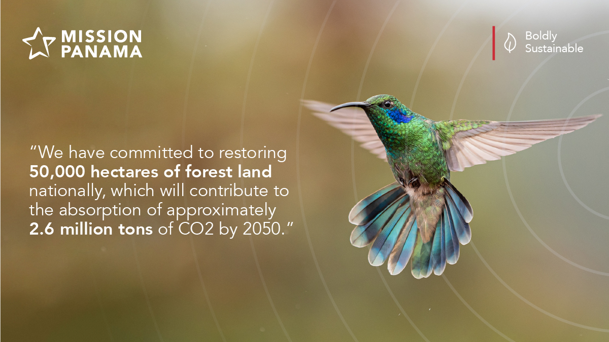 Mission Panama tweet media