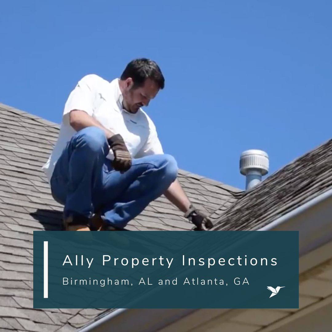 Inspectify tweet media