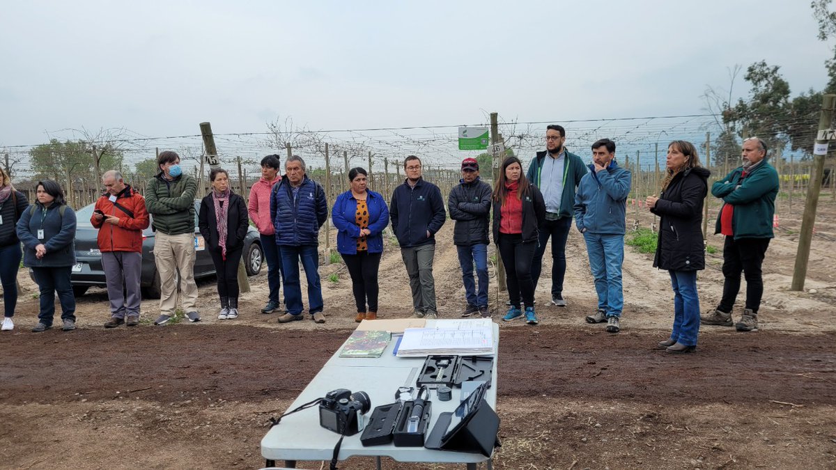 sagchile's tweet photo. En @sagchile continuamos en capacitación técnica, perfeccionando los criterios para evaluar caracteres de nuevas variedades para favorecer a nuestra fruticultura. Esto como parte del proyecto TAIEX (@EU_FPI) en el marco de la cooperación de la Unión Europea con nuestro país. https://t.co/wnU67II8oB