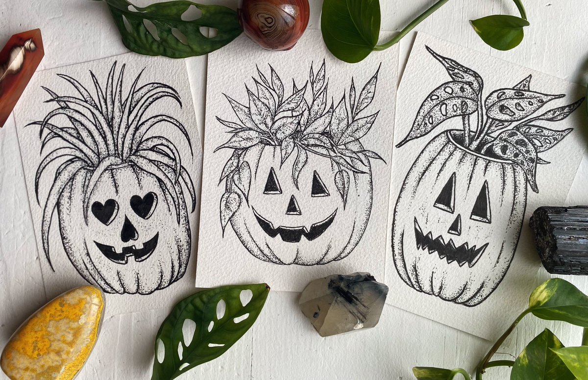 JamieMolden's tweet image. Plants and Halloween, two of my favorite things 🎃🪴