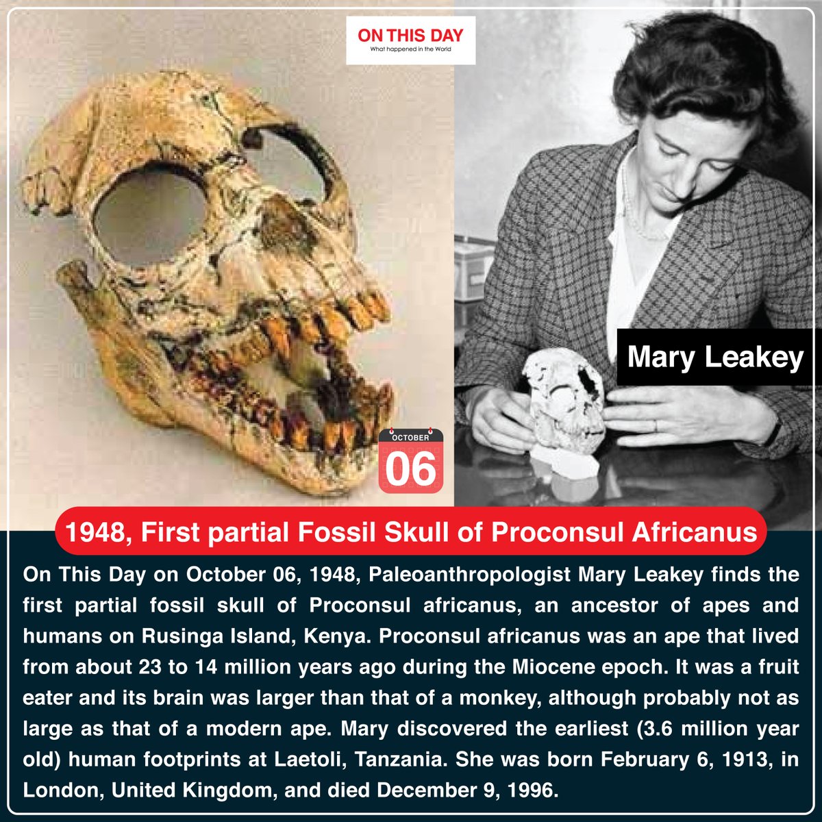 OnThisDayInWor1's tweet photo. #OnThisDay 1948, First partial Fossil Skull of Proconsul Africanus
#october06 #doyouknow #historytoday #in1948 #74yeasrago #Paleoanthropologist #MaryLeakey #firstpartialfossilskull #proconsulafricanus #humans #RusingaIsland #Kenya #humanfootprints #tanzania https://t.co/80UUWiZCAL