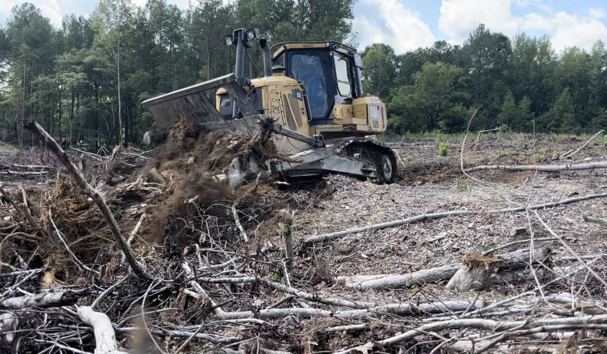 djloggingnc's tweet image. Still shots of us clearing stumps recently

#logging #clearing #timber